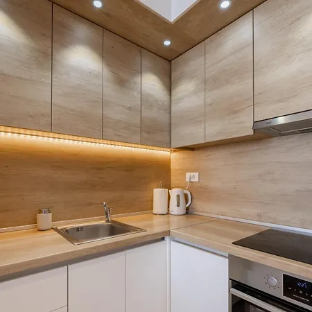 Arena Big Luxury Apartment *
